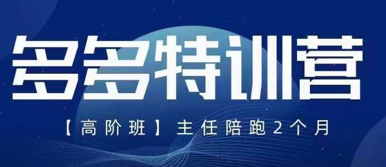纪主任·5月最新多多特训营高阶班，玩法落地实操，多多全掌握网赚项目-副业赚钱-互联网创业-独家轻创IP星泽云创