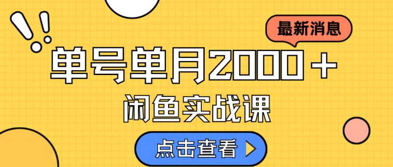 咸鱼虚拟资料新模式，月入2w＋，可批量复制，单号一天50-60没问题 多号多撸网赚项目-副业赚钱-互联网创业-独家轻创IP星泽云创
