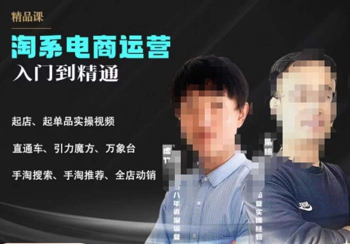 2023手淘搜索实操课+体系化课程,起店起单品实操视频课程网赚项目-副业赚钱-互联网创业-独家轻创IP星泽云创