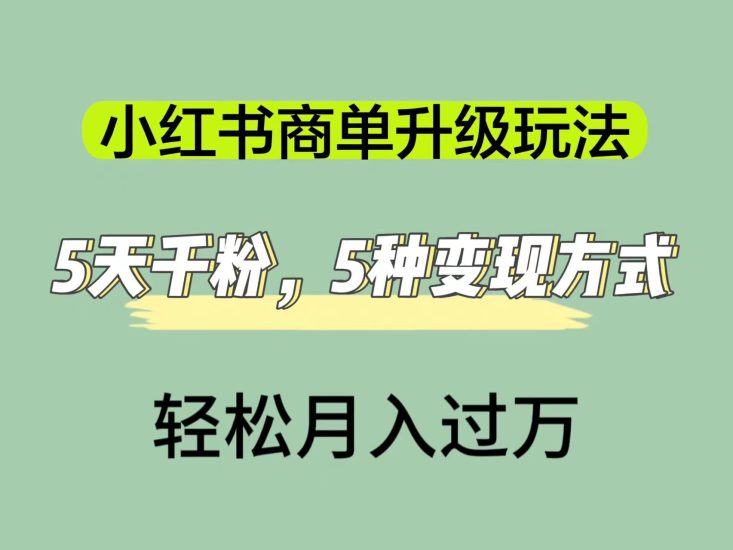 小红书商单升级玩法，5天千粉，5种变现渠道，轻松月入1万+网赚项目-副业赚钱-互联网创业-独家轻创IP星泽云创