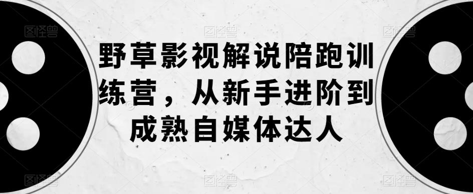 野草影视解说陪跑训练营，从新手进阶到成熟自媒体达人网赚项目-副业赚钱-互联网创业-独家轻创IP星泽云创