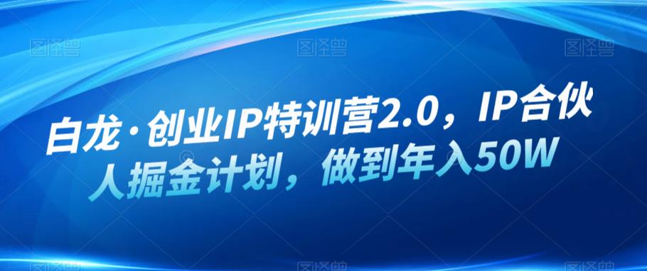 白龙·创业IP特训营2.0，IP合伙人掘金计划，做到年入50W网赚项目-副业赚钱-互联网创业-独家轻创IP星泽云创