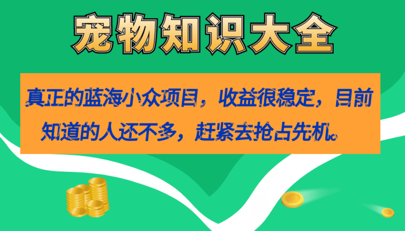 真正的蓝海小众项目，宠物知识大全，收益很稳定（教务+素材）网赚项目-副业赚钱-互联网创业-独家轻创IP星泽云创