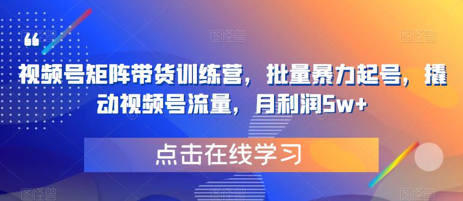 视频号矩阵带货训练营，批量暴力起号，撬动视频号流量，月利润5w+网赚项目-副业赚钱-互联网创业-独家轻创IP星泽云创