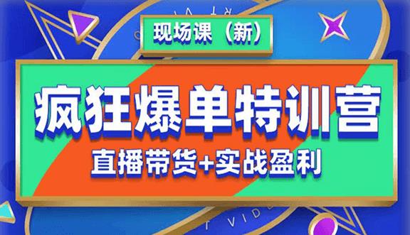 抖音短视频疯狂爆单特训营现场课（新）直播带货+实战案例网赚项目-副业赚钱-互联网创业-独家轻创IP星泽云创
