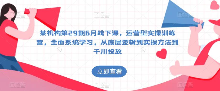 某机构第29期6月线下课，运营型实操训练营，全面系统学习，从底层逻辑到实操方法到千川投放网赚项目-副业赚钱-互联网创业-独家轻创IP星泽云创