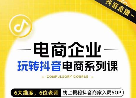 玺承·电商企业玩转抖音电商系列课，6大维度，6位老师，线上揭秘抖音商家入局SOP网赚项目-副业赚钱-互联网创业-独家轻创IP星泽云创