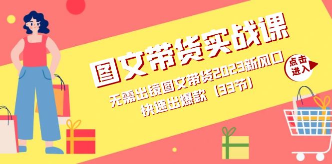 图文带货实战课：无需出镜图文带货2023新风口，快速出爆款（33节）网赚项目-副业赚钱-互联网创业-独家轻创IP星泽云创
