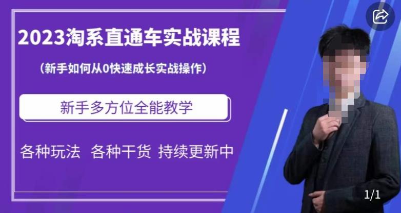 2023淘系直通车保姆式运营讲解，新手如何从0快速成长实战操作，新手多方位全能教学网赚项目-副业赚钱-互联网创业-独家轻创IP星泽云创