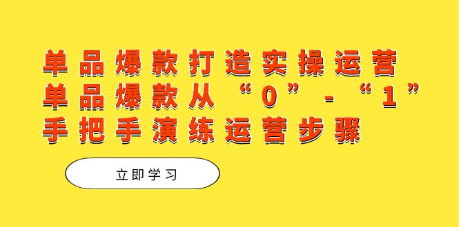 单品爆款打造实操运营，单品爆款从“0”-“1”手把手演练运营步骤网赚项目-副业赚钱-互联网创业-独家轻创IP星泽云创