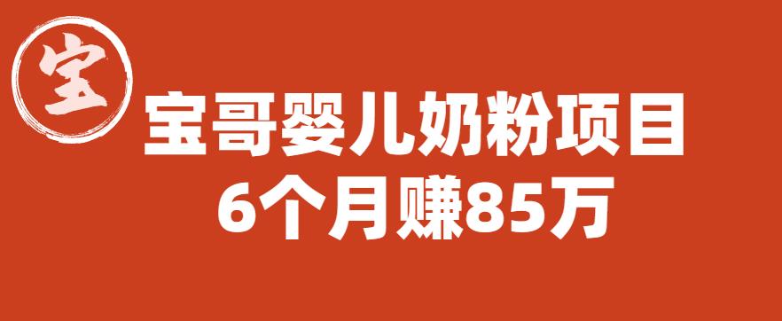 宝哥婴儿奶粉项目，6个月赚85w【图文非视频】【揭秘】网赚项目-副业赚钱-互联网创业-独家轻创IP星泽云创
