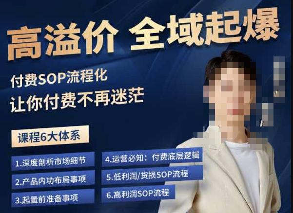 逸风-拼多多高溢价全域起爆，6大课程体系，付费玩法全套实操网赚项目-副业赚钱-互联网创业-独家轻创IP星泽云创