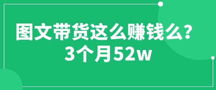 图文带货这么赚钱么? 3个月52W 图文带货运营加强课【揭秘】网赚项目-副业赚钱-互联网创业-独家轻创IP星泽云创