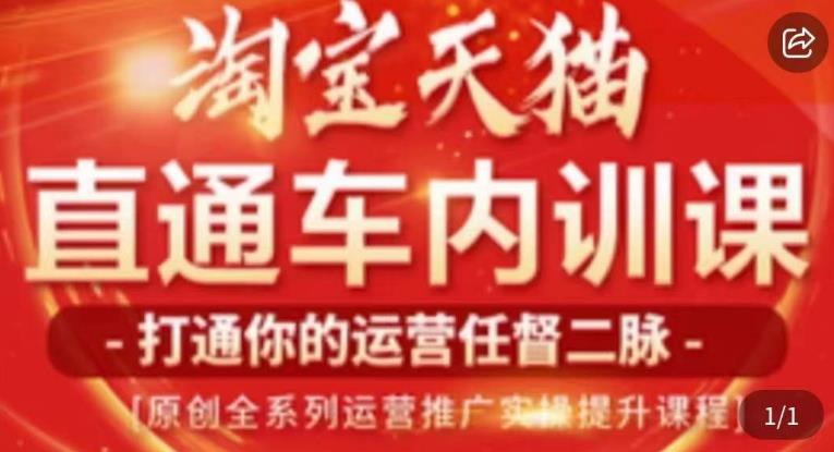 天问电商·2023淘宝天猫直通车内训课，零基础学起直通车运营实操课程网赚项目-副业赚钱-互联网创业-独家轻创IP星泽云创