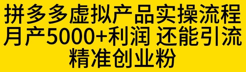 拼多多虚拟产品实操流程，月产5000+利润，还能引流精准创业粉【揭秘】网赚项目-副业赚钱-互联网创业-独家轻创IP星泽云创