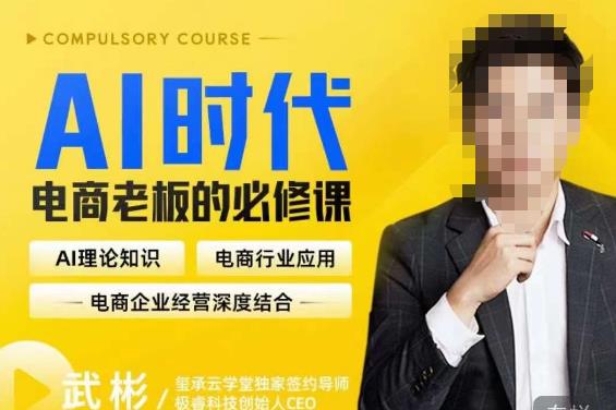 玺承·AI时代，电商老板的必修课，理论+实操+工具，驱动电商销售转化网赚项目-副业赚钱-互联网创业-独家轻创IP星泽云创