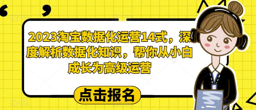 2023淘宝数据化运营14式，深度解析数据化知识，帮你从小白成长为高级运营网赚项目-副业赚钱-互联网创业-独家轻创IP星泽云创