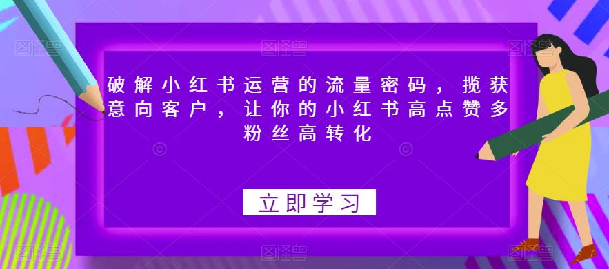 破解小红书运营的流量密码，揽获意向客户，让你的小红书高点赞多粉丝高转化网赚项目-副业赚钱-互联网创业-独家轻创IP星泽云创