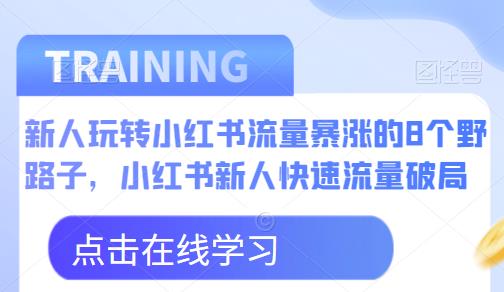 新人玩转小红书流量暴涨的8个野路子，小红书新人快速流量破局网赚项目-副业赚钱-互联网创业-独家轻创IP星泽云创