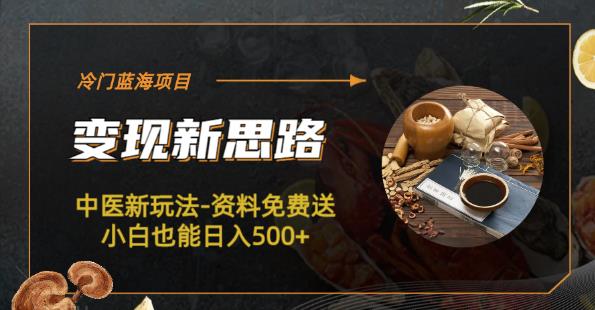 冷门蓝海项目-中医新玩法-资料免费送小白也能日入500+【揭秘】网赚项目-副业赚钱-互联网创业-独家轻创IP星泽云创