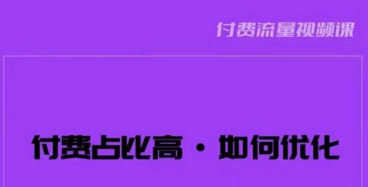 波波-付费占比高，如何优化？只讲方法，不说废话，高效解决问题！网赚项目-副业赚钱-互联网创业-独家轻创IP星泽云创