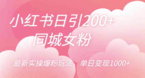 小红书日引200+同城女粉，最新实操爆粉玩法，单日变现1000+【揭秘】网赚项目-副业赚钱-互联网创业-独家轻创IP星泽云创