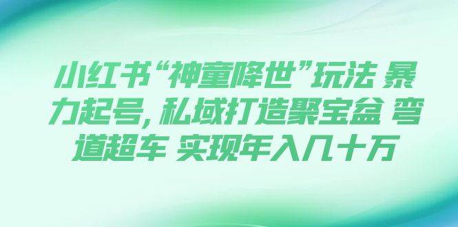 （7673期）小红书“神童降世”玩法 暴力起号,私域打造聚宝盆 弯道超车 实现年入几十万网赚项目-副业赚钱-互联网创业-独家轻创IP星泽云创