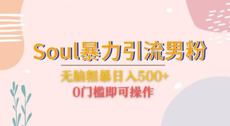 Soul暴力引流男粉玩法，无脑粗暴日入500＋，0门槛即可操作【揭秘】网赚项目-副业赚钱-互联网创业-独家轻创IP星泽云创
