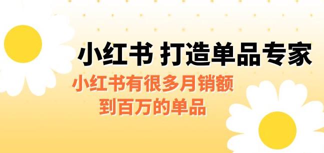 某公众号付费文章《小红书打造单品专家》小红书有很多月销额到百万的单品网赚项目-副业赚钱-互联网创业-独家轻创IP星泽云创
