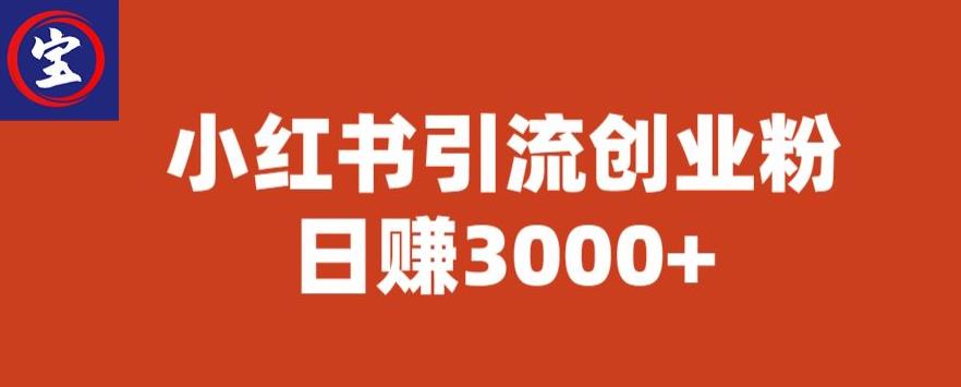 宝哥小红书引流创业粉，日赚3000+【揭秘】网赚项目-副业赚钱-互联网创业-独家轻创IP星泽云创