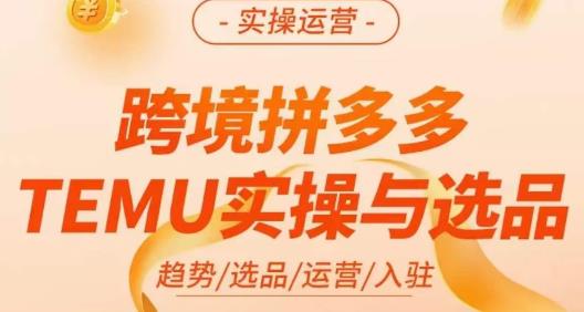 伍跃·跨境拼多多TEMU实操与选品，​趋势/选品/运营/入住（27节完整）网赚项目-副业赚钱-互联网创业-独家轻创IP星泽云创