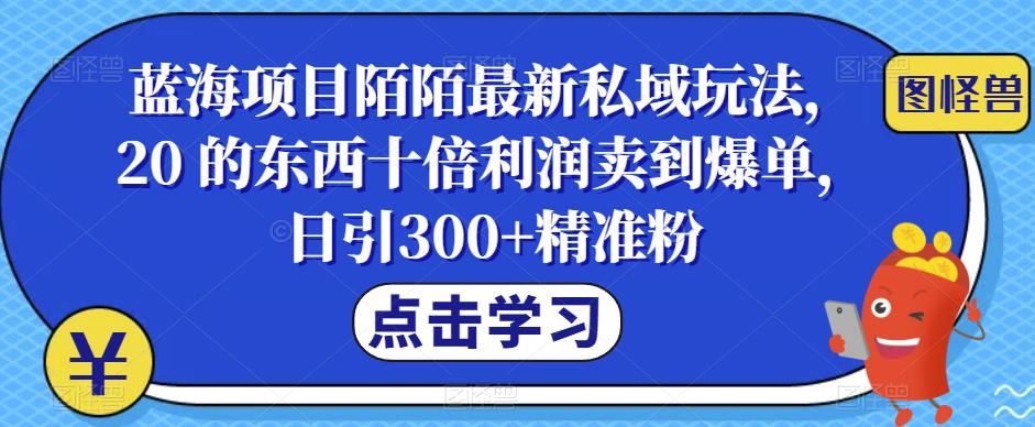 蓝海项目陌陌最新私域玩法，20 的东西十倍利润卖到爆单，日引300+精准粉【揭秘】网赚项目-副业赚钱-互联网创业-独家轻创IP星泽云创