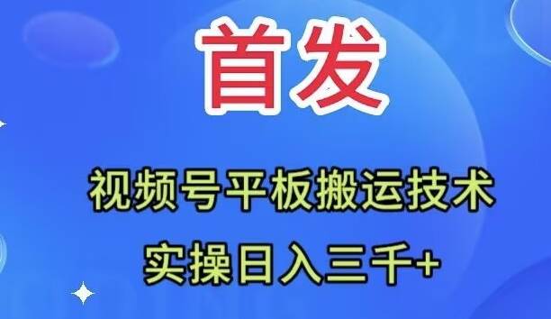 （7843期）全网首发：视频号平板搬运技术，实操日入三千＋网赚项目-副业赚钱-互联网创业-独家轻创IP星泽云创