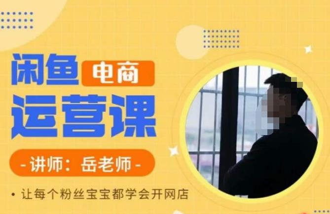 岳老师·闲鱼电商运营课，让每个粉丝宝宝都学会开网店网赚项目-副业赚钱-互联网创业-独家轻创IP星泽云创