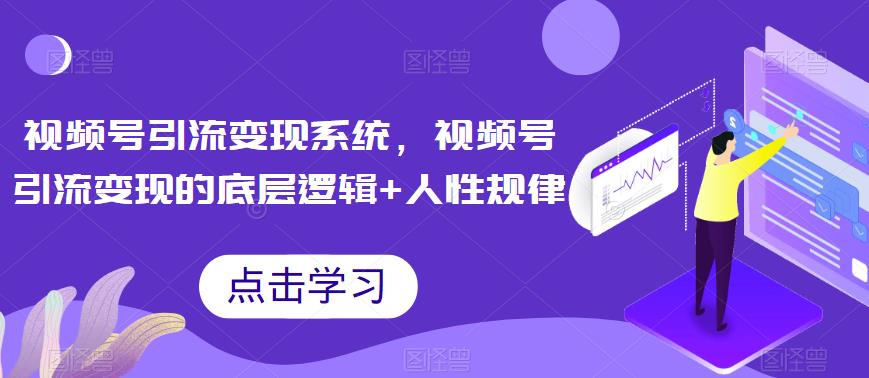 视频号引流变现系统，视频号引流变现的底层逻辑+人性规律网赚项目-副业赚钱-互联网创业-独家轻创IP星泽云创