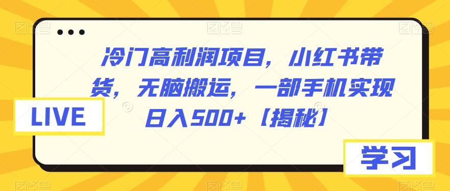 冷门高利润项目，小红书带货，无脑搬运，一部手机实现日入500+【揭秘】网赚项目-副业赚钱-互联网创业-独家轻创IP星泽云创