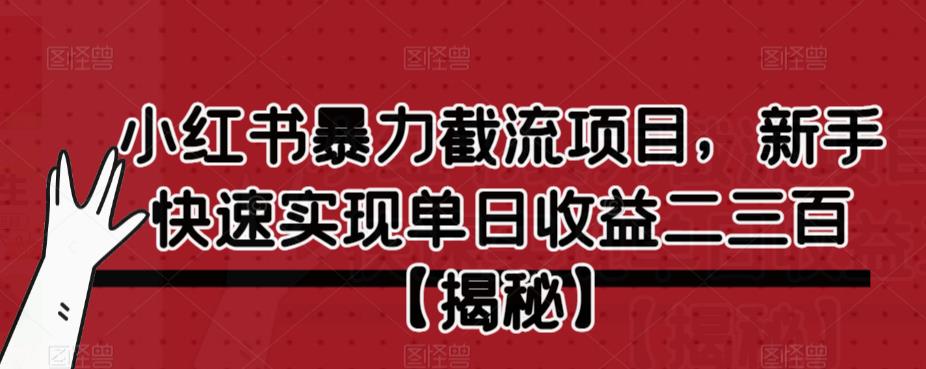 小红书暴力截流项目，新手快速实现单日收益二三百【仅揭秘】网赚项目-副业赚钱-互联网创业-独家轻创IP星泽云创