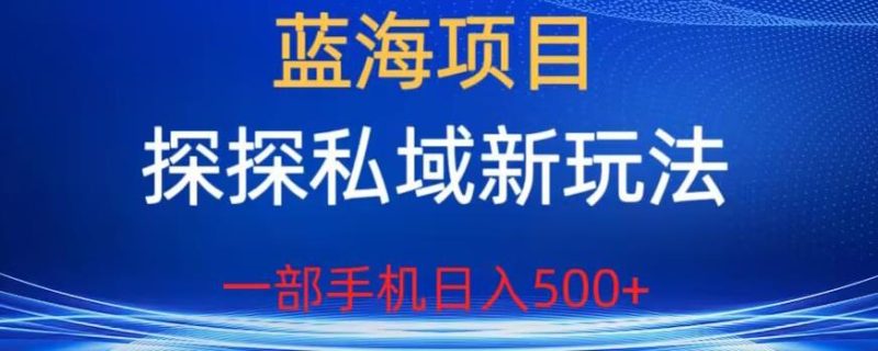 蓝海项目，探探私域新玩法，一部手机日入500+很轻松【揭秘】网赚项目-副业赚钱-互联网创业-独家轻创IP星泽云创