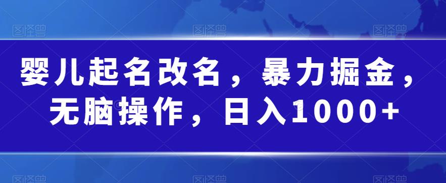 婴儿起名改名，暴力掘金，无脑操作，日入1000+【揭秘】网赚项目-副业赚钱-互联网创业-独家轻创IP星泽云创