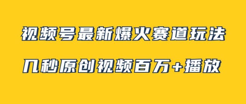 （7917期）视频号最新爆火赛道玩法，几秒视频可达百万播放，小白即可操作（附素材）网赚项目-副业赚钱-互联网创业-独家轻创IP星泽云创