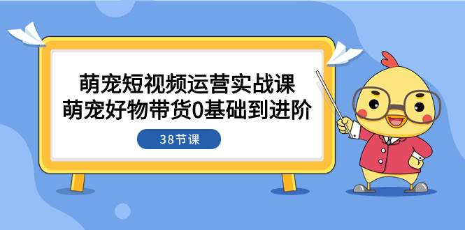 （7915期）萌宠·短视频运营实战课：萌宠好物带货0基础到进阶（38节课）网赚项目-副业赚钱-互联网创业-独家轻创IP星泽云创