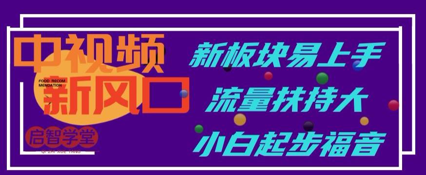 中视频新风口，新板块易上手，流量扶持大，小白起步福音【揭秘】网赚项目-副业赚钱-互联网创业-独家轻创IP星泽云创