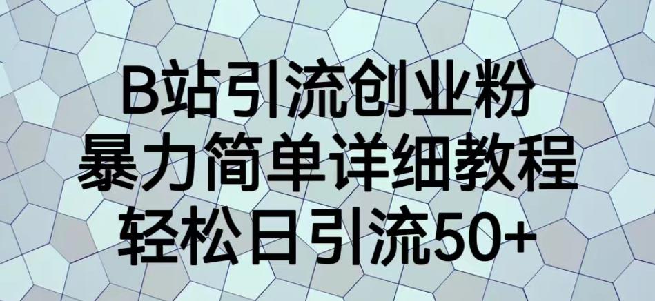 B站引流创业粉，暴力简单详细教程，轻松日引流50+【揭秘】网赚项目-副业赚钱-互联网创业-独家轻创IP星泽云创