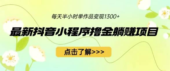 最新抖音小程序撸金躺赚项目，一部手机每天半小时，单个作品变现1300+【揭秘】网赚项目-副业赚钱-互联网创业-独家轻创IP星泽云创