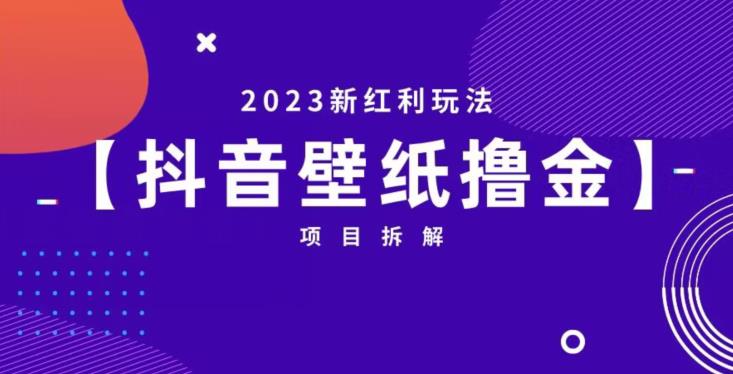 抖音壁纸小程序创作者撸金项目，2023新红利玩法【项目拆解】网赚项目-副业赚钱-互联网创业-独家轻创IP星泽云创