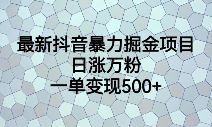 最新抖音暴力掘金项目，日涨万粉，一单变现500+【揭秘】网赚项目-副业赚钱-互联网创业-独家轻创IP星泽云创