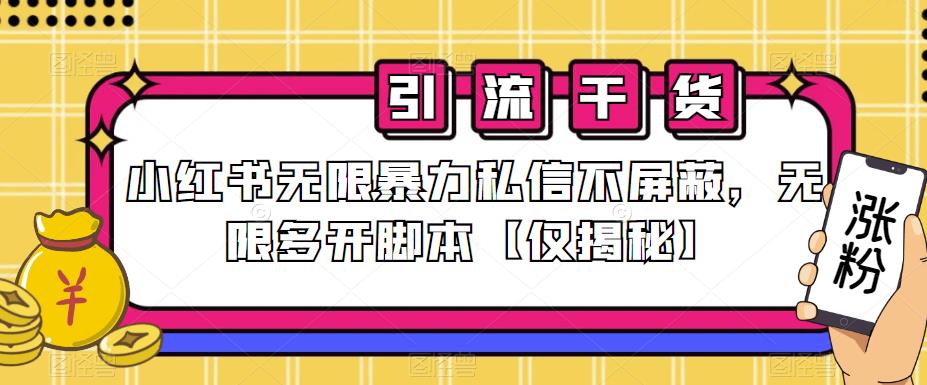 小红书无限暴力私信不屏蔽，无限多开脚本【仅揭秘】网赚项目-副业赚钱-互联网创业-独家轻创IP星泽云创