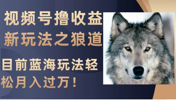 （8042期）视频号撸收益新玩法之狼道，目前蓝海玩法轻松月入过万！网赚项目-副业赚钱-互联网创业-独家轻创IP星泽云创