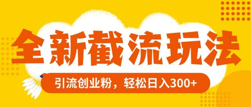 （8025期）全新截流玩法，精准引流创业粉，轻松日入300+网赚项目-副业赚钱-互联网创业-独家轻创IP星泽云创