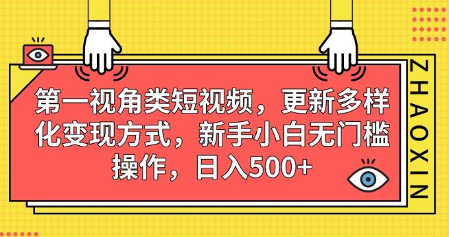 第一视角类短视频，更新多样化变现方式，新手小白无门槛操作，日入500+【揭秘】网赚项目-副业赚钱-互联网创业-独家轻创IP星泽云创